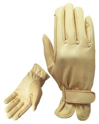 Riding Gloves